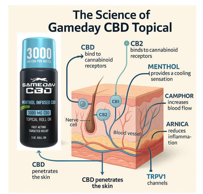 3000 MG CBD Roll-on For Muscle & Joints